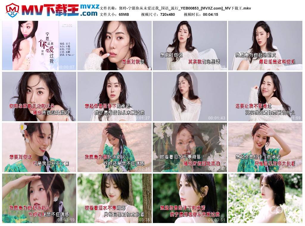 郭玲-宁愿你从未爱过我_国语_流行_YEB00853